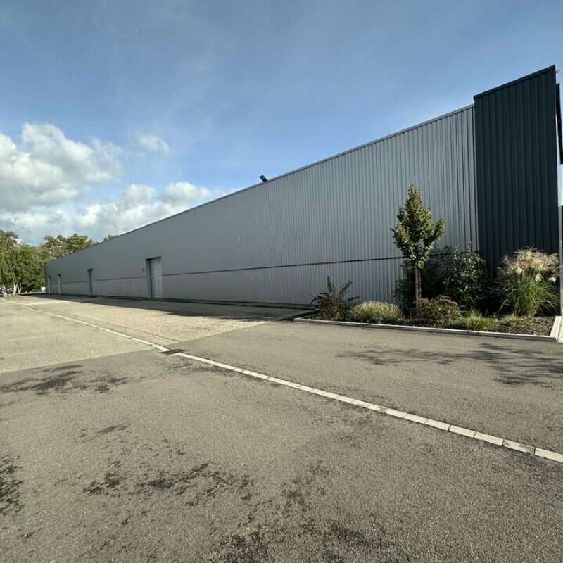 Location - 514 m² - BISCHHEIM - 2