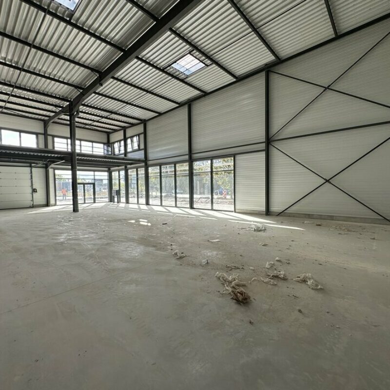 Location - 374 m² - GEISPOLSHEIM - 3