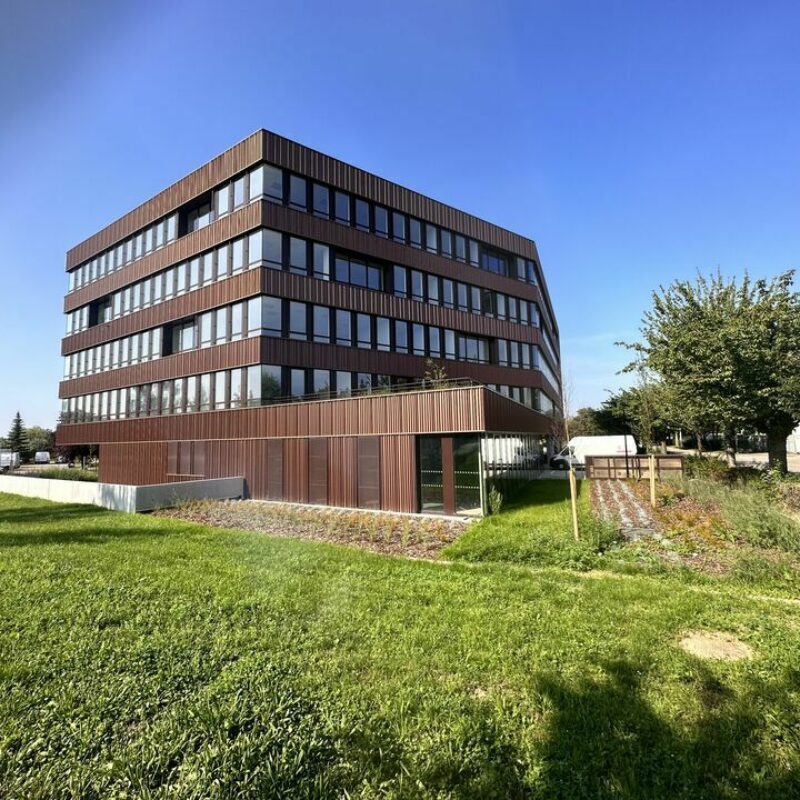 Location - 745 m² - SCHILTIGHEIM - 1