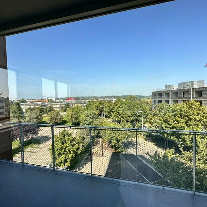 Location - 745 m² - SCHILTIGHEIM - 5