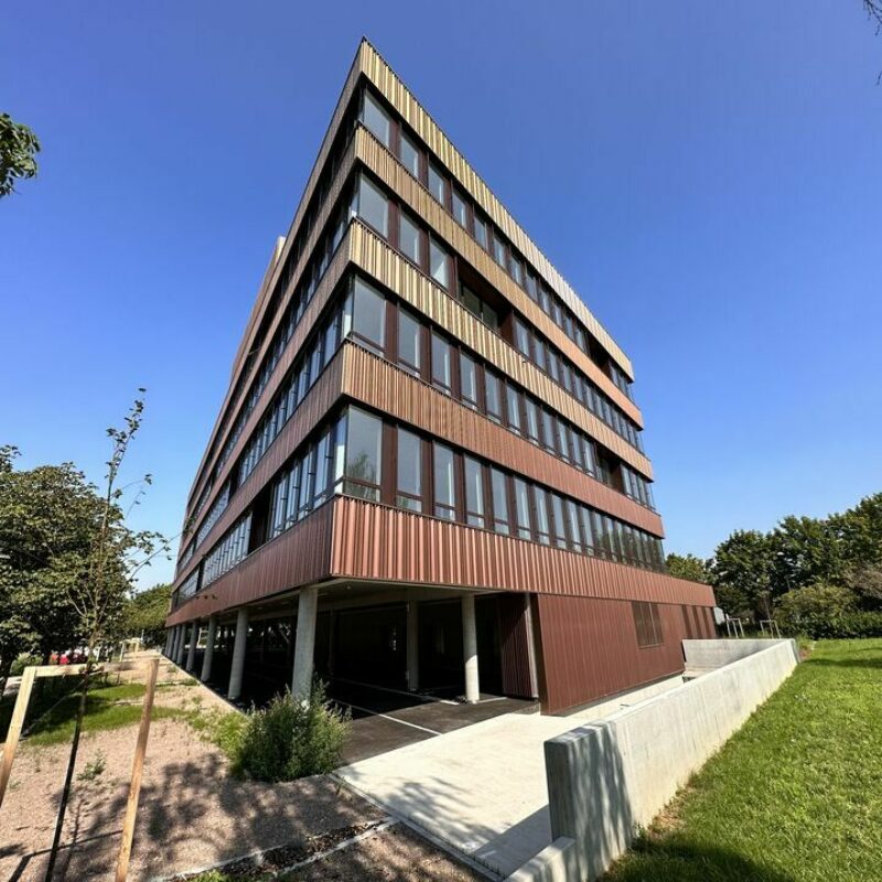 Location - 745 m² - SCHILTIGHEIM - 2