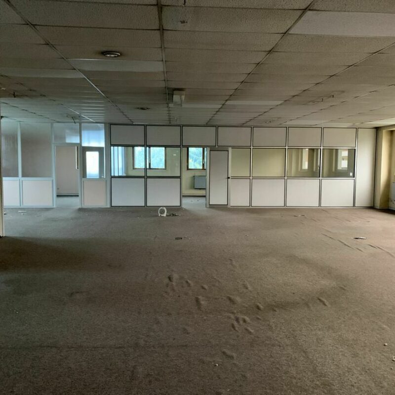 Location - 1000 m² - STRASBOURG - 5