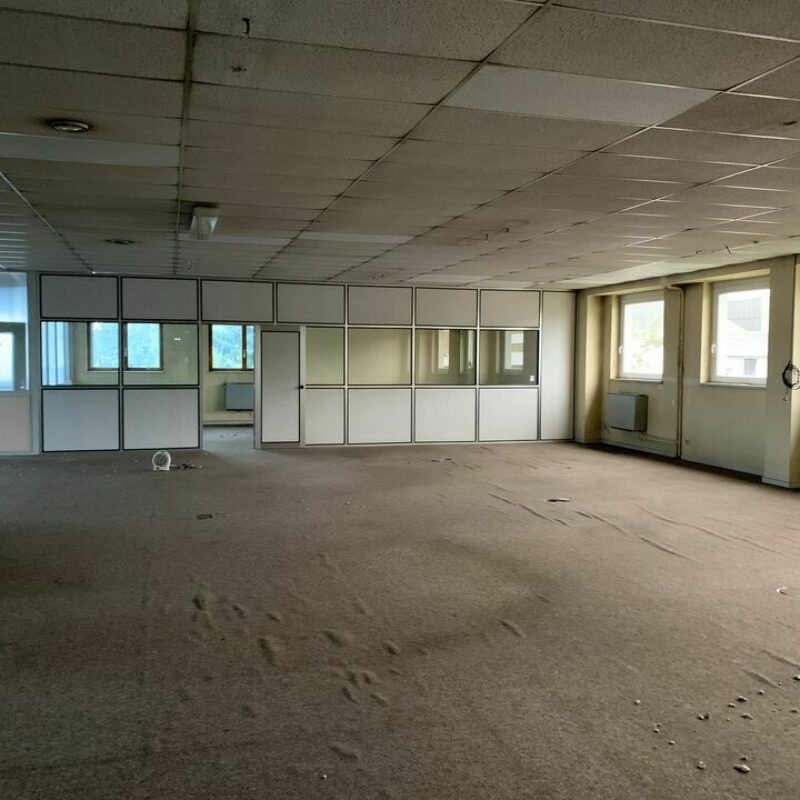 Location - 1000 m² - STRASBOURG - 3