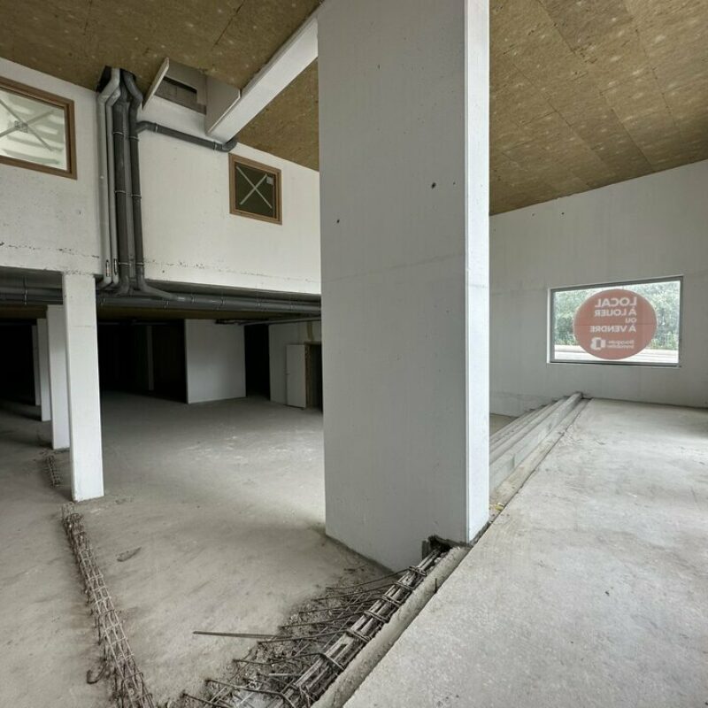 Vente - 439.5 m² - STRASBOURG - 2