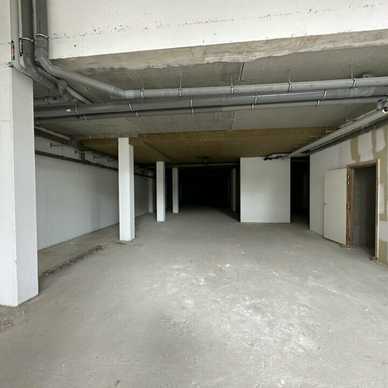 Vente - 439.5 m² - STRASBOURG - 4