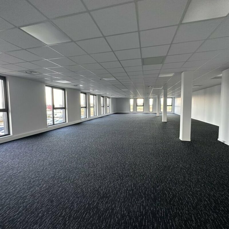 Location - 531 m² - HOLTZHEIM - 3