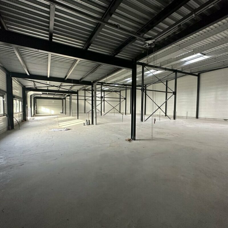 Location - 1080 m² - MARLENHEIM - 2