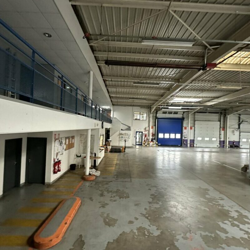 Location - 3000 m² - SOUFFELWEYERSHEIM - 5