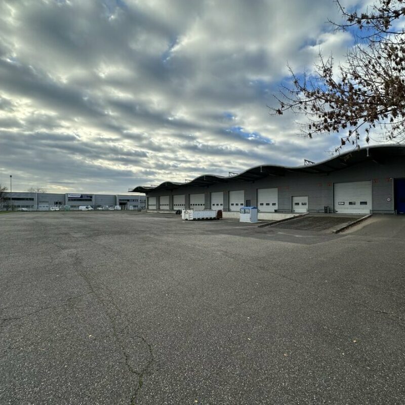 Location - 3000 m² - SOUFFELWEYERSHEIM - 2