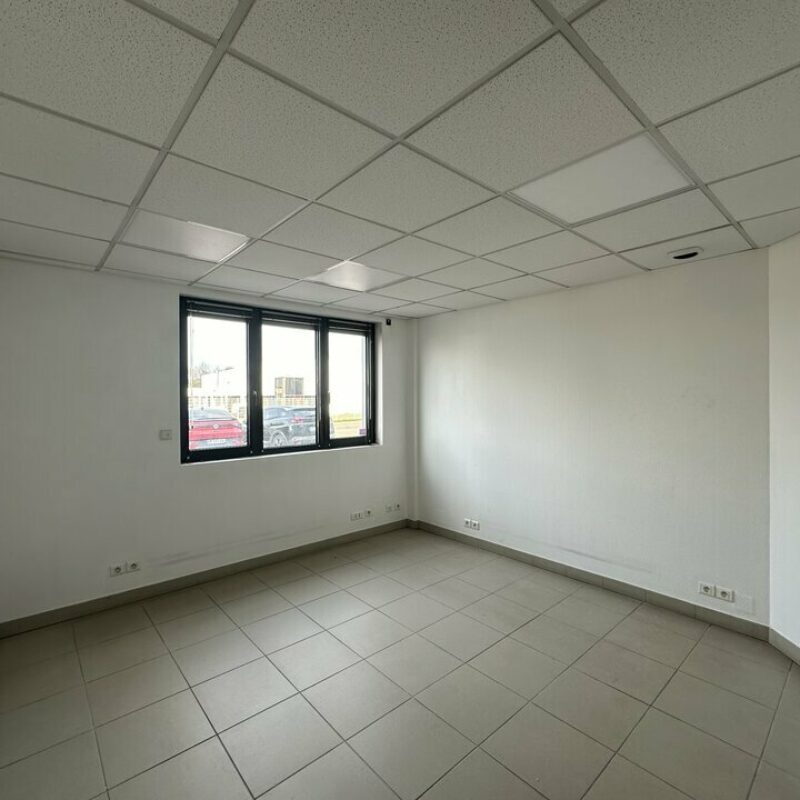 Location - 409 m² - OSTWALD - 5