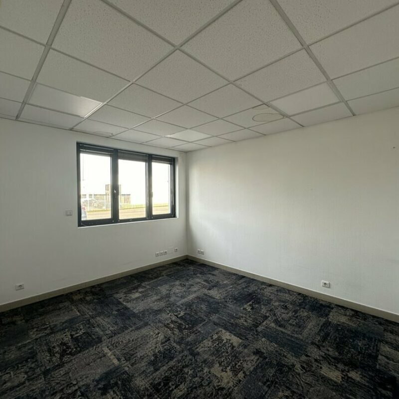 Location - 409 m² - OSTWALD - 4