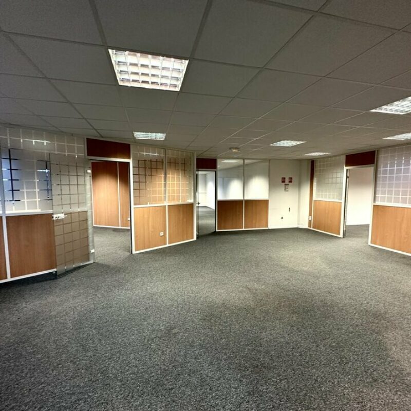 Location - 1908.1 m² - ILLKIRCH GRAFFENSTADEN - 3