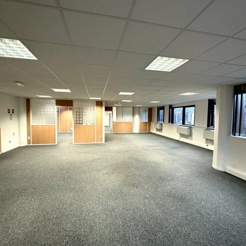 Location - 1908.1 m² - ILLKIRCH GRAFFENSTADEN - 5