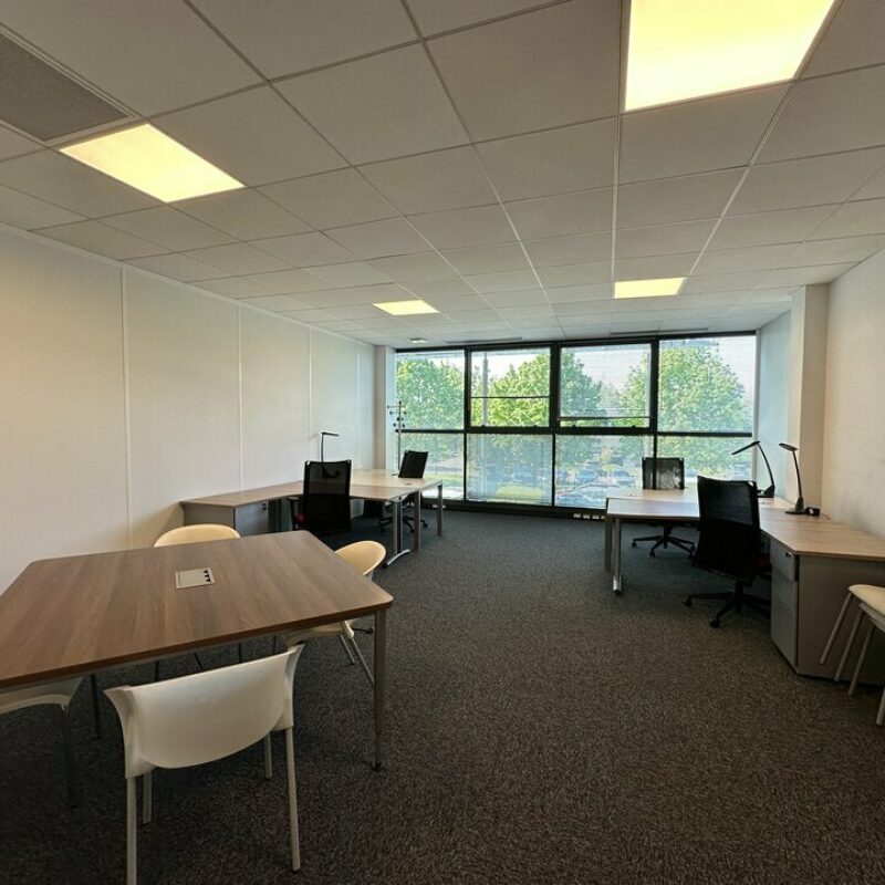 Location - 50 m² - SCHILTIGHEIM - 2