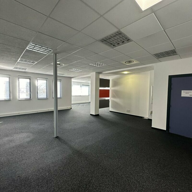 Location - 617 m² - SCHILTIGHEIM - 4