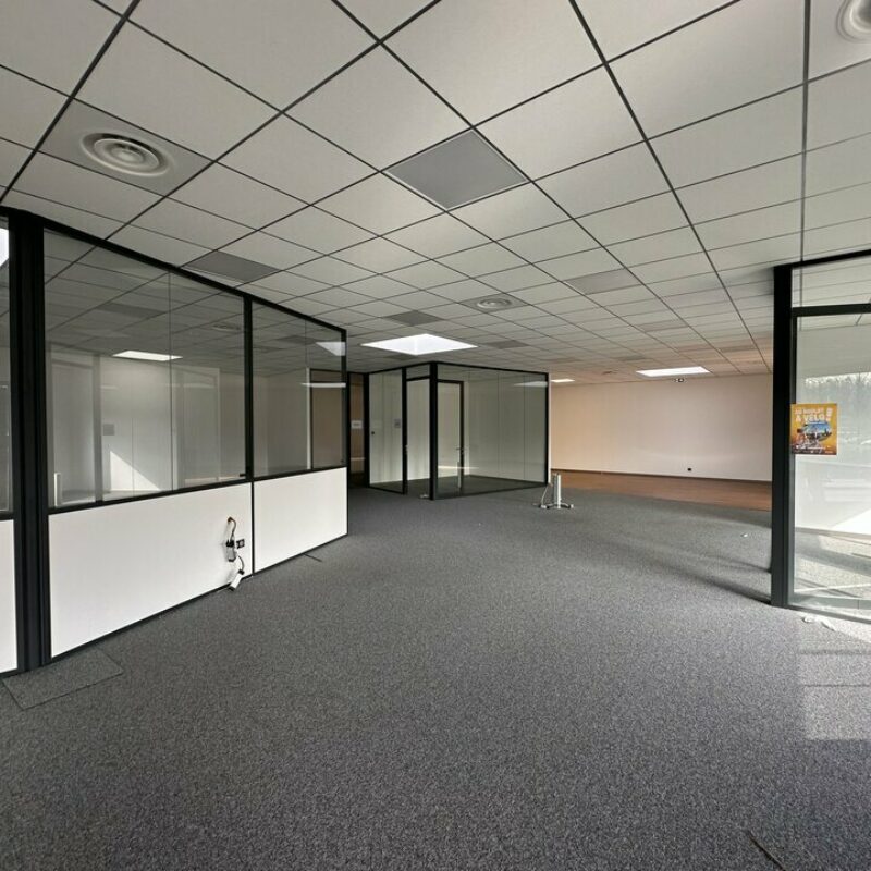 Location - 871 m² - ILLKIRCH GRAFFENSTADEN - 2