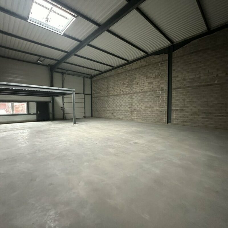 Vente - 838 m² - GOXWILLER - 3