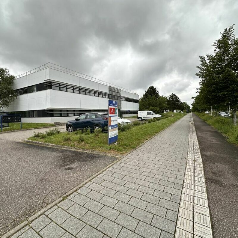 Location - 405 m² - SCHILTIGHEIM - 1