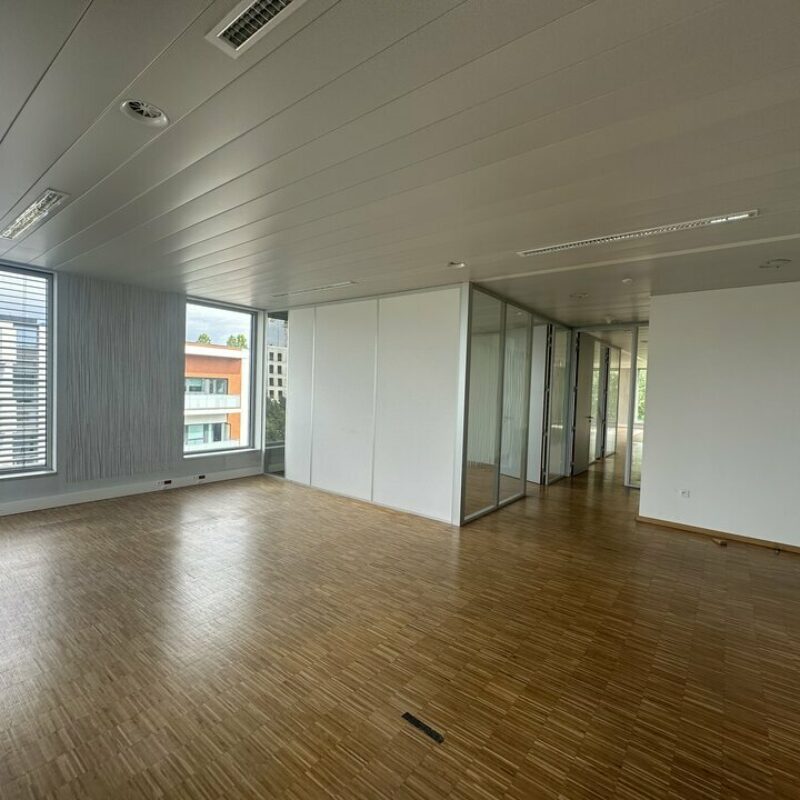 Location - 1076.45 m² - SCHILTIGHEIM - 3