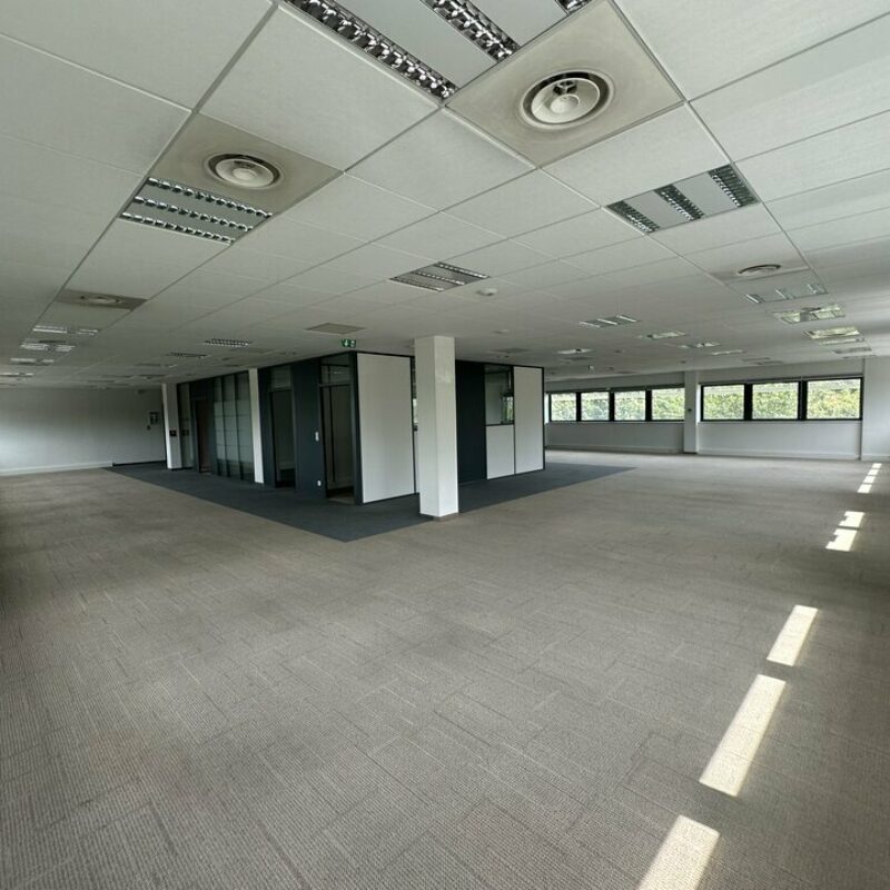 Vente - 660 m² - SCHILTIGHEIM - 4