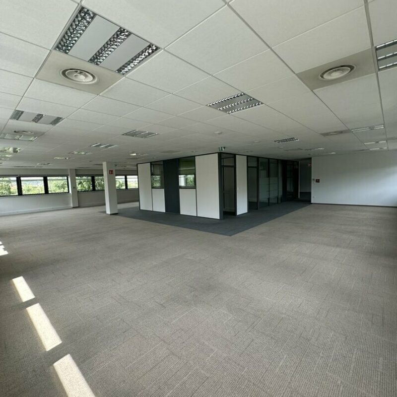 Vente - 660 m² - SCHILTIGHEIM - 5