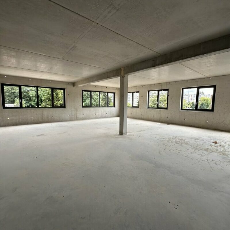 Vente - 345 m² - SCHILTIGHEIM - 4