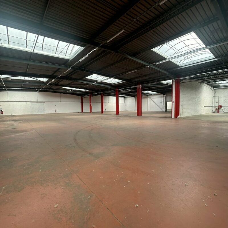 Location - 3815 m² - ILLKIRCH GRAFFENSTADEN - 4