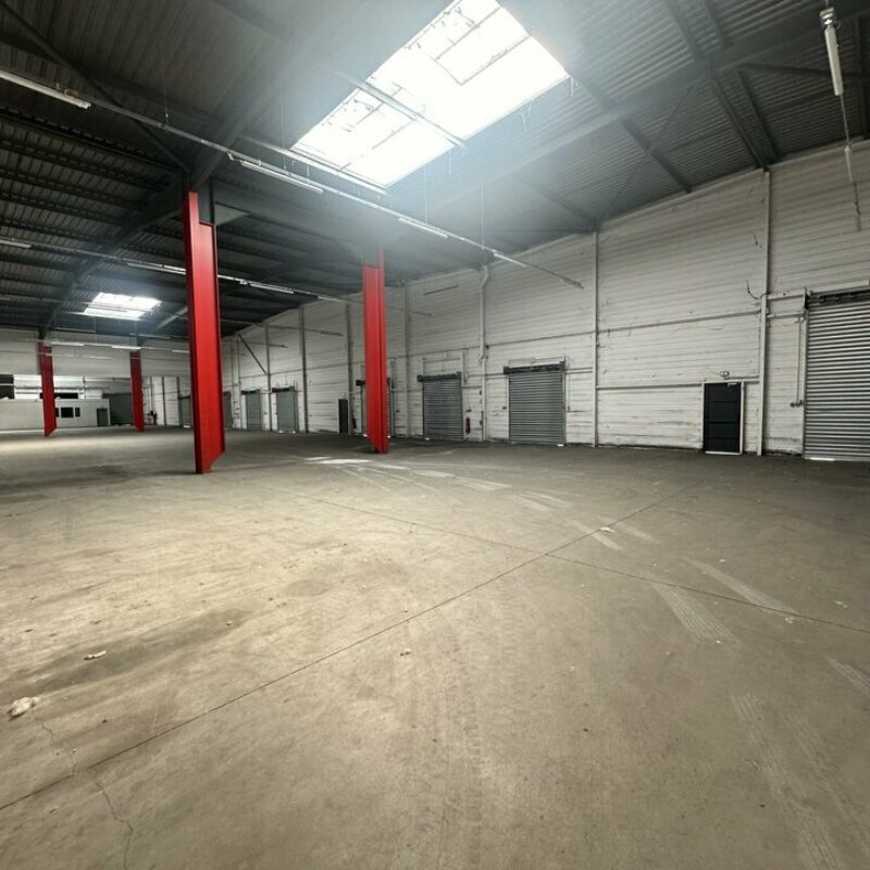 Location - 3815 m² - ILLKIRCH GRAFFENSTADEN - 5