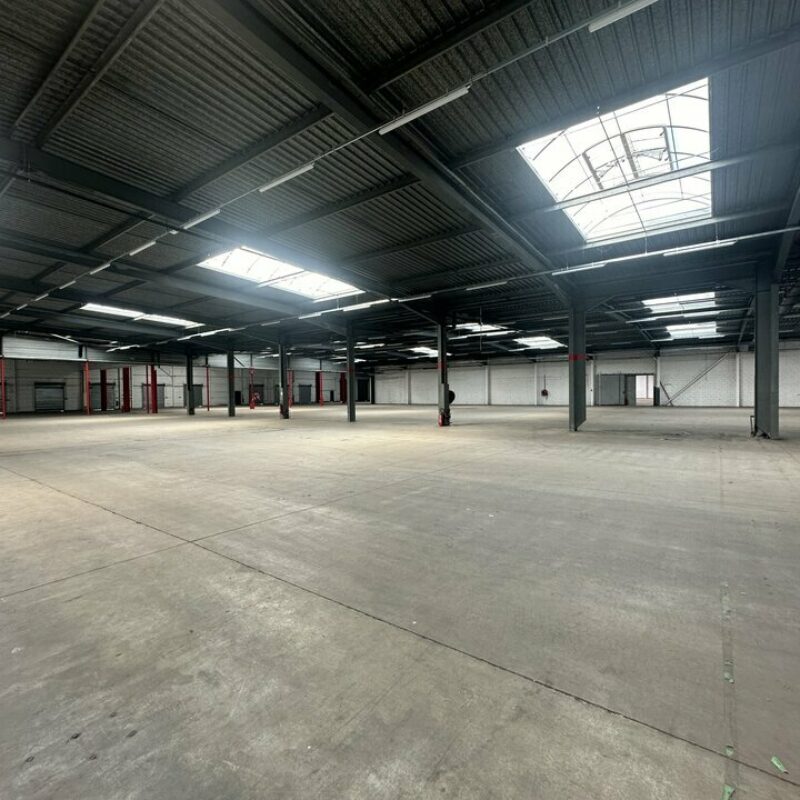 Location - 3815 m² - ILLKIRCH GRAFFENSTADEN - 3