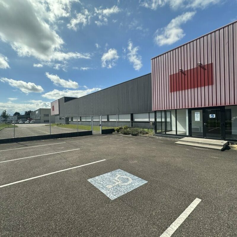 Location - 3815 m² - ILLKIRCH GRAFFENSTADEN - 2