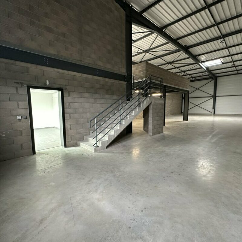 Location - 390 m² - SOUFFELWEYERSHEIM - 2