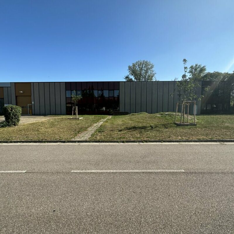 Location - 1340.7 m² - LINGOLSHEIM - 1