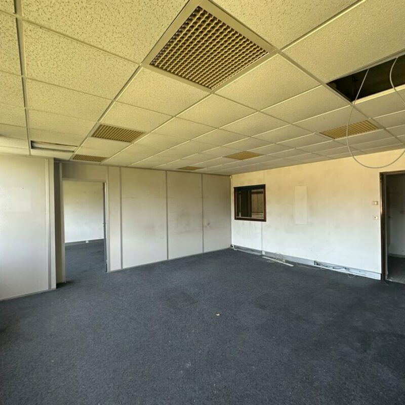 Location - 1340.7 m² - LINGOLSHEIM - 3