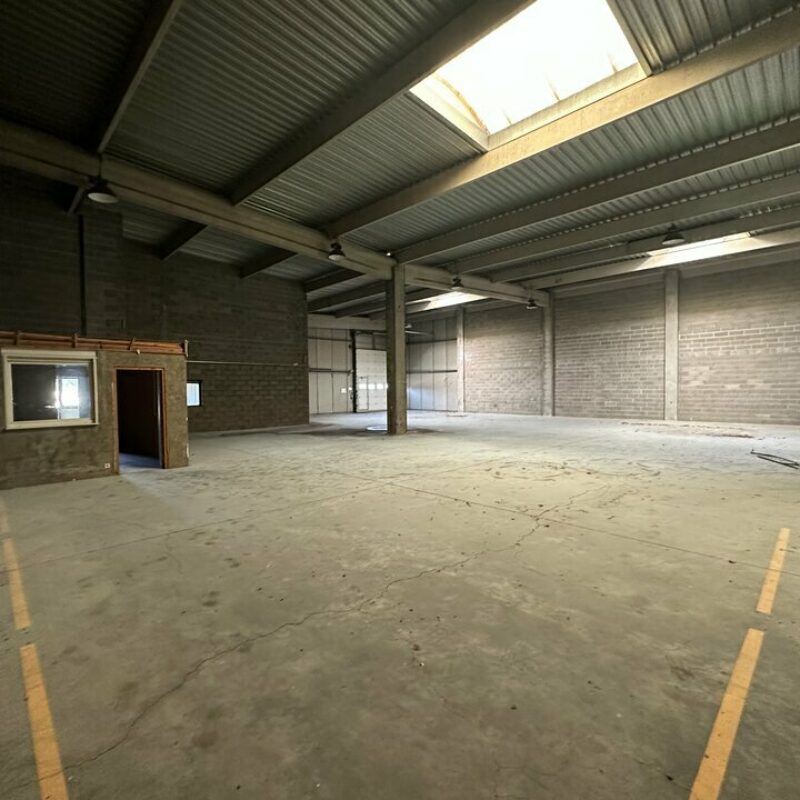 Location - 1340.7 m² - LINGOLSHEIM - 4