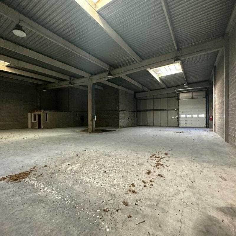 Location - 1340.7 m² - LINGOLSHEIM - 5