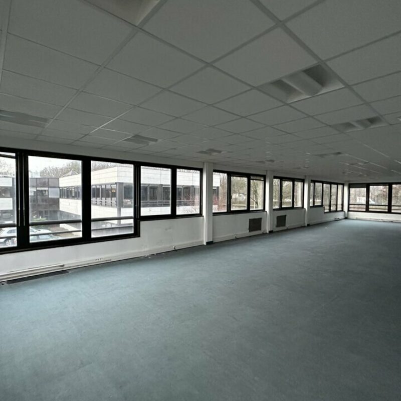 Location - 300 m² - STRASBOURG - 4