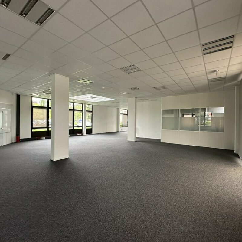 Location - 493.3 m² - LINGOLSHEIM - 3