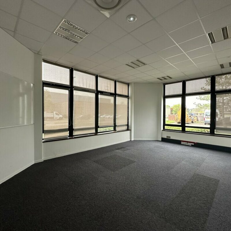 Location - 493.3 m² - LINGOLSHEIM - 4