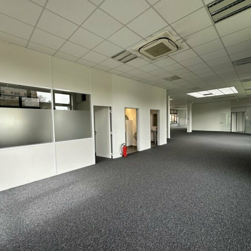 Location - 493.3 m² - LINGOLSHEIM - 5