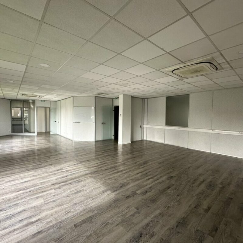 Location - 493.3 m² - LINGOLSHEIM - 2