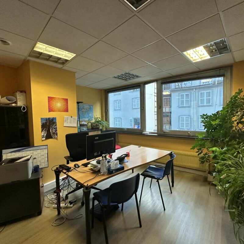 Vente - 584 m² - STRASBOURG - 3