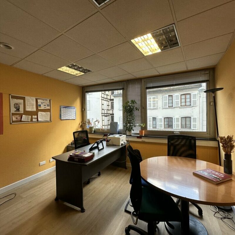 Vente - 584 m² - STRASBOURG - 4