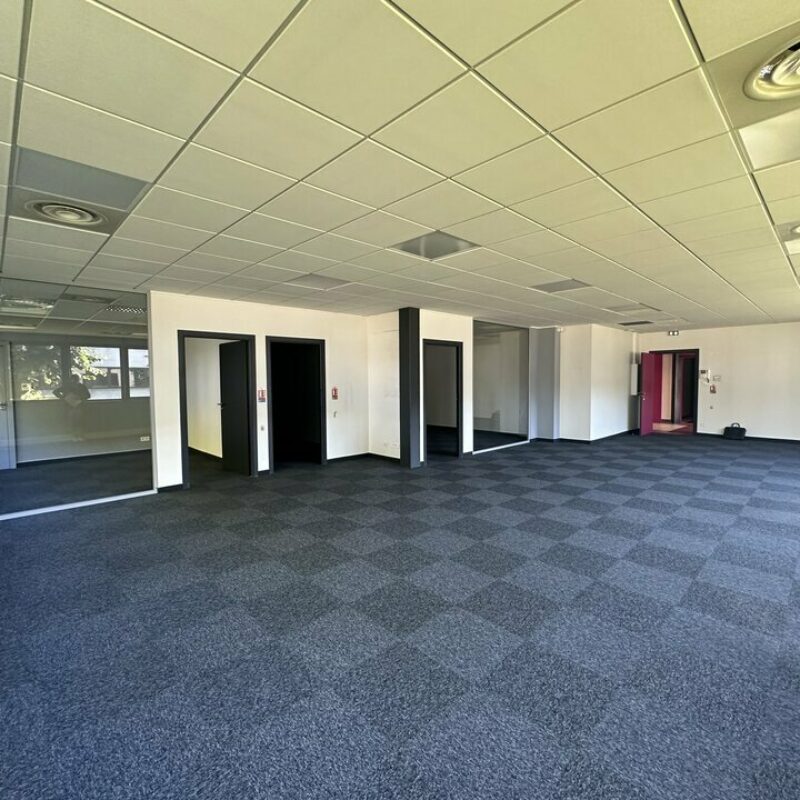 Location - 130 m² - STRASBOURG - 3