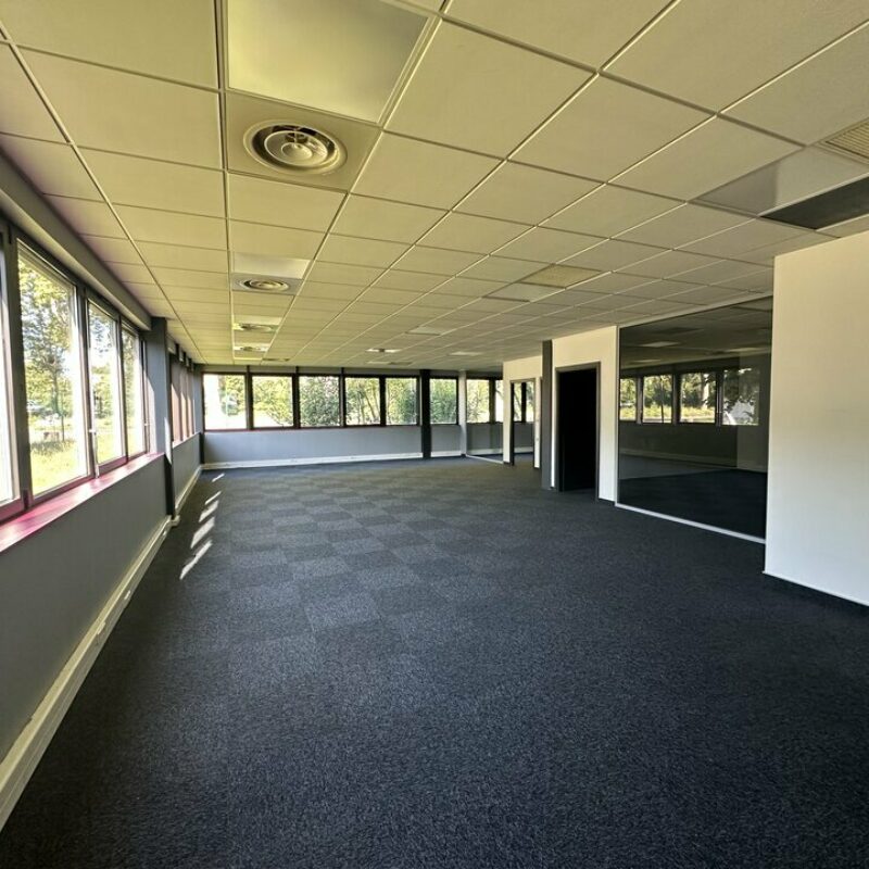 Location - 130 m² - STRASBOURG - 2