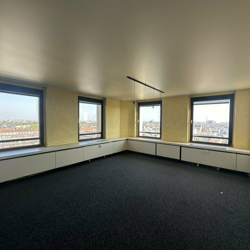 Location - 512 m² - STRASBOURG - 5