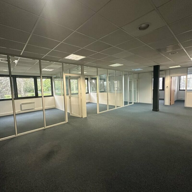 Location - 166 m² - STRASBOURG - 3