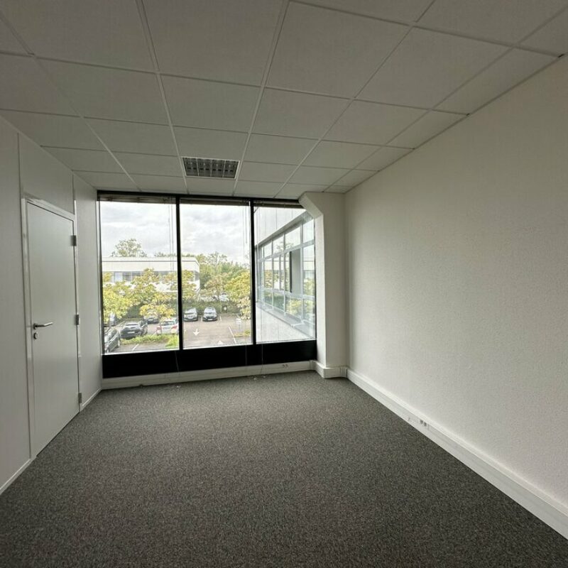 Location - 203 m² - ENTZHEIM - 5