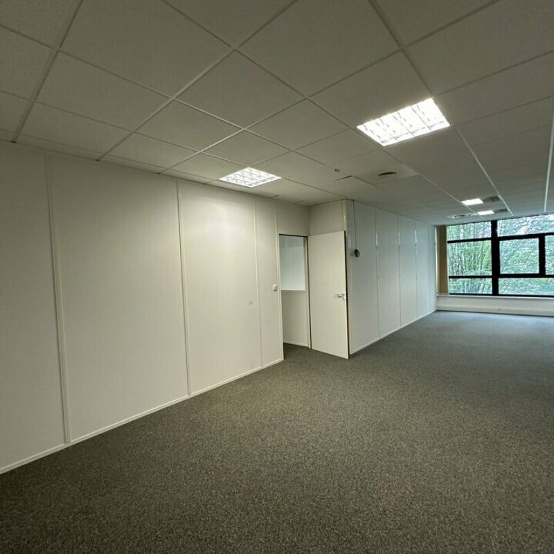 Location - 203 m² - ENTZHEIM - 3