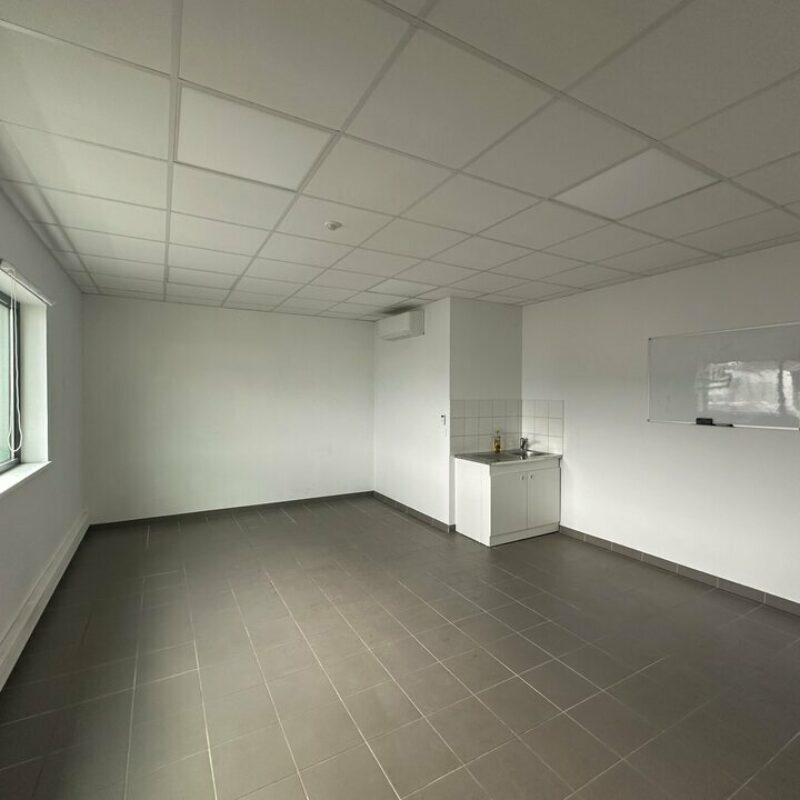 Location - 189 m² - ILLKIRCH GRAFFENSTADEN - 5