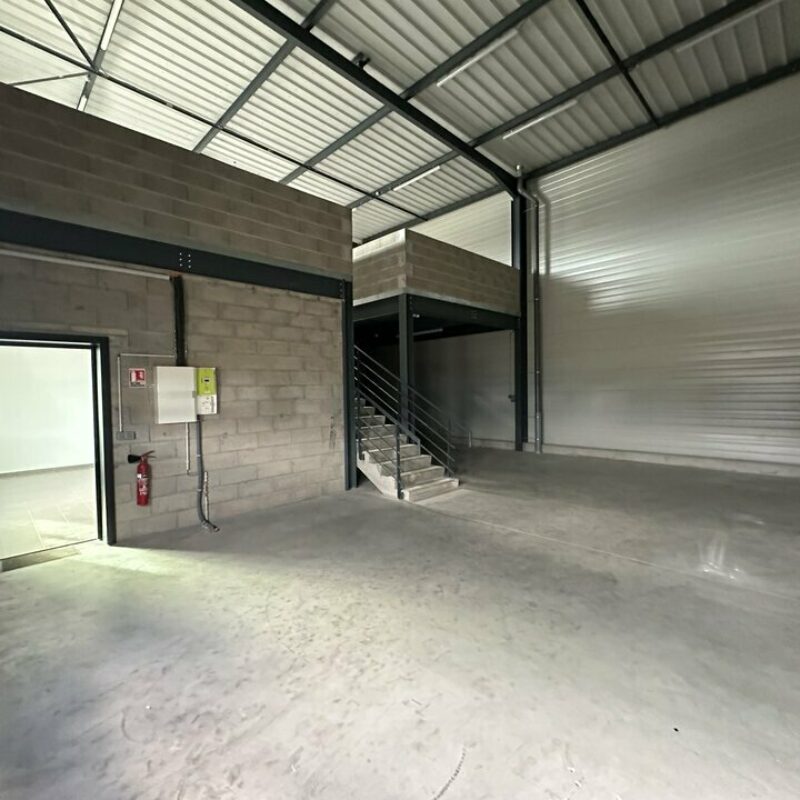 Location - 189 m² - ILLKIRCH GRAFFENSTADEN - 2